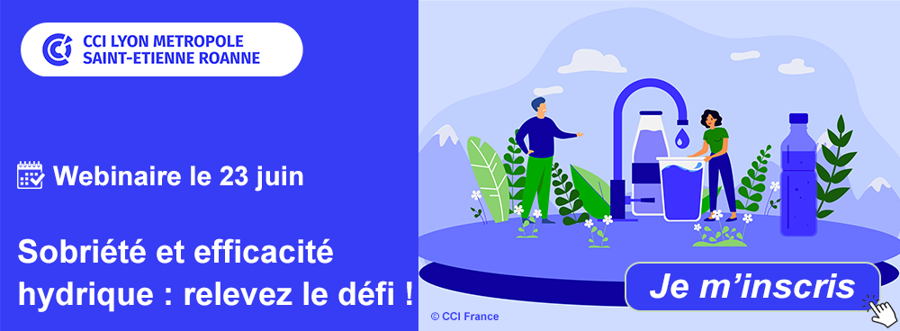 Webinaire international - Maîtrisez l'information stratégique